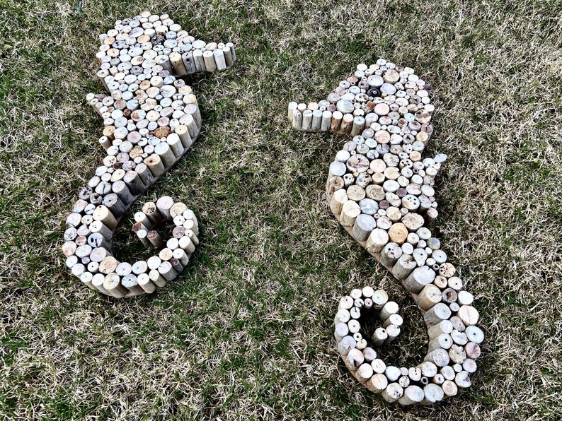 Driftwood Seahorse Wooden Wall Coastal Art Decor Seahorse Etsy