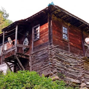 May include: A weathered, two-story wooden house with a rustic appearance. The exterior is constructed from dark brown logs and planks, featuring multiple windows, a small balcony, and a satellite dish. Green foliage surrounds the base of the structure.