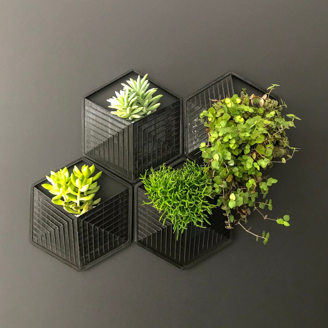 Textured Wall Planter Single Black Etsy
