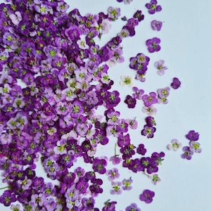 dried mini blossoms and twigs (pressed) for diy projects, resin art, decoration, soap