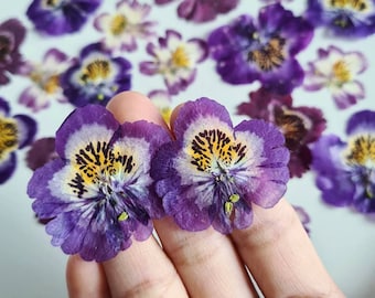 Puede incluir: Una colección de flores de pensamiento prensadas con pétalos de color púrpura intenso, bordes blancos y centros amarillos con marcas de color marrón oscuro. Las flores están dispuestas en un patrón disperso, con dos flores en primer plano.