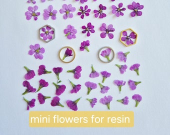 Mini fleurs séchées roses et violettes : fleurs naturelles pressées pour oeuvre d'art en résine