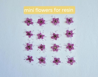 12/24 mini fleurs violettes séchées (naturelles, pressées) pour projets de bricolage, art en résine, décoration