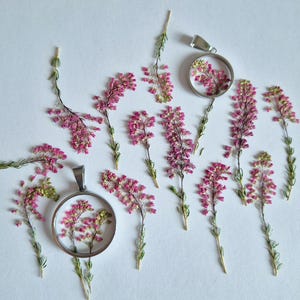 May include: Two circular silver-toned metal pendants containing pressed pink heather flowers, arranged alongside several loose sprigs of the same pink heather plant. The pendants feature a clear center displaying the delicate floral botanical specimens.