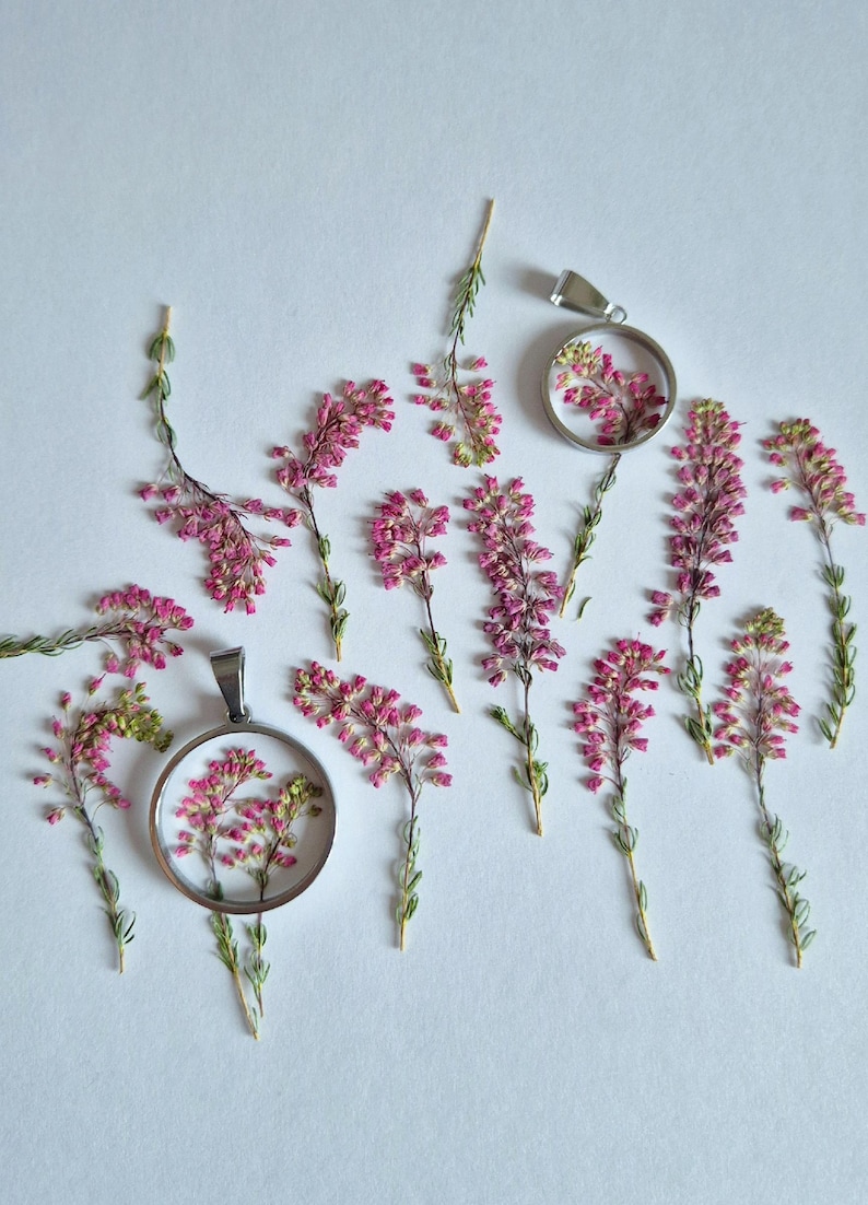 May include: Two circular silver-toned metal pendants containing pressed pink heather flowers, arranged alongside several loose sprigs of the same pink heather plant. The pendants feature a clear center displaying the delicate floral botanical specimens.