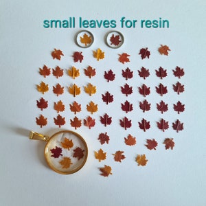 25/50 Stück getrocknete Mini-Ahornblätter (natur, gepresst) für DIY-Projekte, Resin-Art, Dekoration