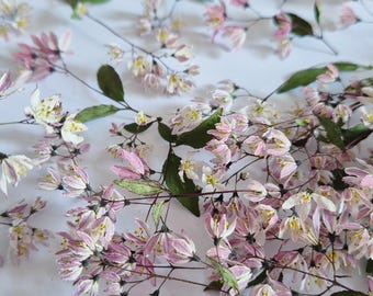 5/10 pcs dried "3D" white blossom twigs (natural) for diy projects, resin art, decoration