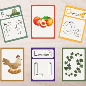 Traceable Nature Alphabet Flash Cards Printable [PDF] - Montessori Homeschool & Preschool - Cottagecore - Garden - Watercolor - Animals