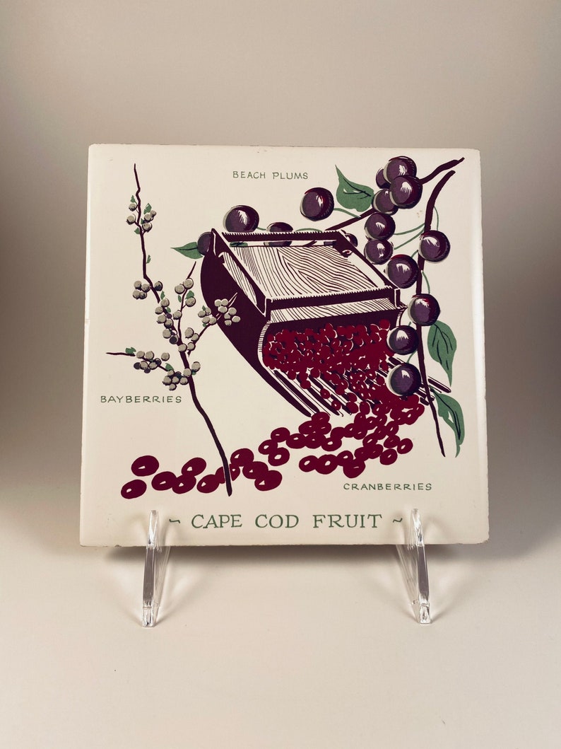 Cape Cod Fruit Decorative Ceramic Tile