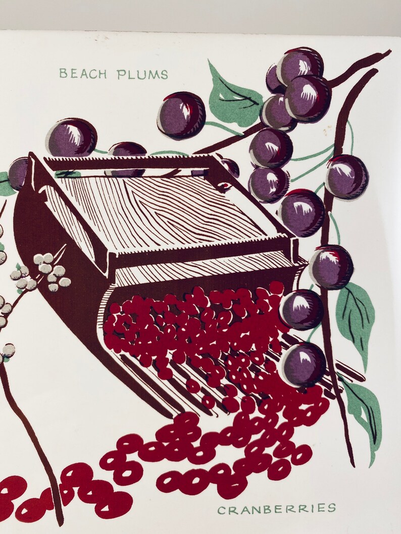 Cape Cod Fruit Decorative Ceramic Tile