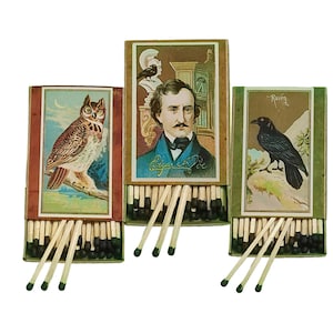 Handmade &quot;Edgar Allan Poe&quot; Set of 3 Matchboxes | USA | 3-Inch Black Tipped Wooden Matches | Spooky Books! | Decorative | Recycled!