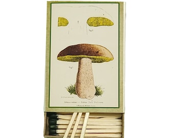 Handmade in USA, “Porcini” Large Matchbox. 3-inch Black-Tipped Wooden Matches. Vintage Botanical Mushroom! Decorative. 100% Recycled!