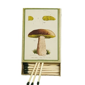Handmade in USA, “Porcini” Large Matchbox. 3-inch Black-Tipped Wooden Matches. Vintage Botanical Mushroom! Decorative. 100% Recycled!