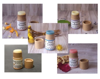 Spare Geld! Ermäßigte Lippenbalsam | Bio | Vegan | Pflanzlich | Rose, Strohblume, Orange, Pfefferminze