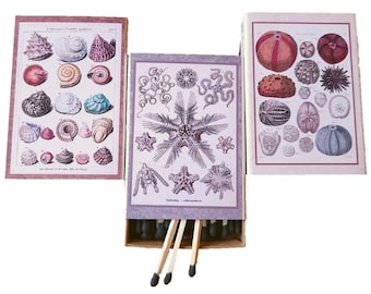 Seashells Matchbox Collection | Handmade | You Choose | Vintage Beach Art | Recycled Materials