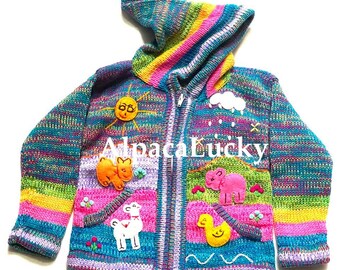 Regenboogvest voor kinderen Gebreide kindertrui met capuchon, peuterjas met hoodies, Peruaanse kindertrui met de hand geborduurde details, kinderjasje