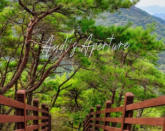 Landscape Print, Stairs to Nowhere, South Korea Photography - Digital Download