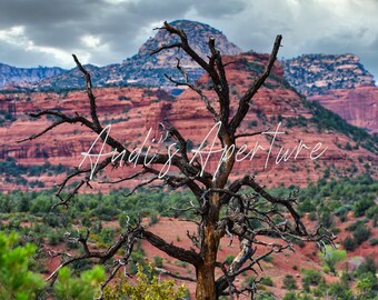 Landscape Print, Sedona, Arizona Photography - Digital Download