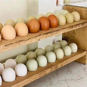 DIY Wooden Egg Holder: Instantly download digital plans for a 3 dozen beautifully crafted wooden egg holder.