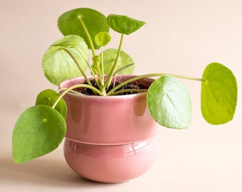Ceramic Flower Pot, Handmade Pot, Vintage Boho Flower Pot, Pink