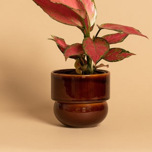 Ceramic Flower Pot, Handmade Pot, Vintage Boho Flower Pot, honey image 3