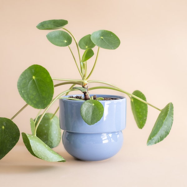 Blue Planter, Vintage Planter, Birthday Gift For Crazy Plant Lady,