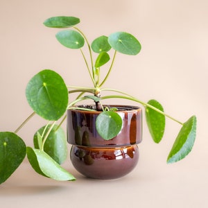 Ceramic Flower Pot, Handmade Pot, Vintage Boho Flower Pot, honey image 1