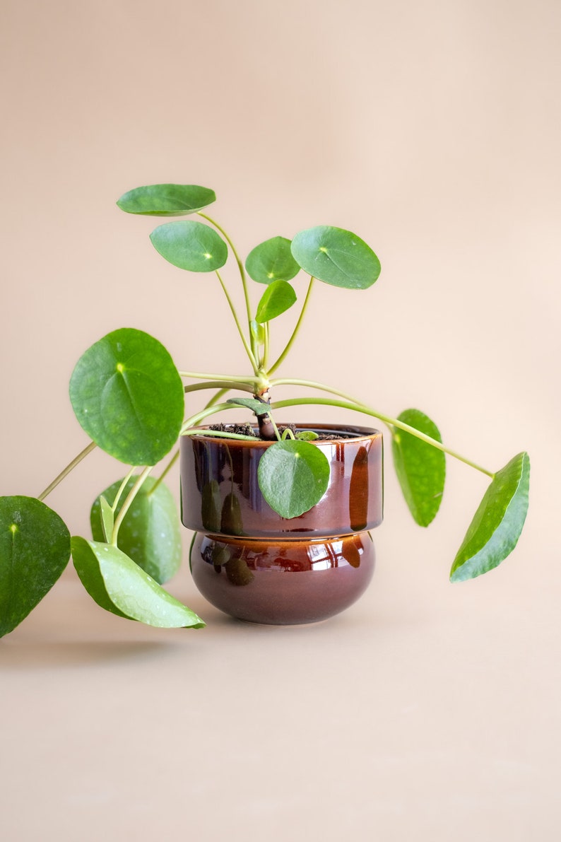 Ceramic Flower Pot, Handmade Pot, Vintage Boho Flower Pot, honey image 1