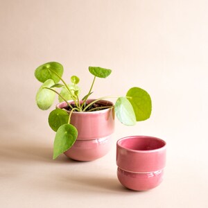 Small Pink Planter, Mothers Day Gift From Daughter, Cactus Planter, Mini Planter, Succulent Planter, Pastel Color image 4