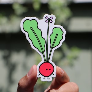 Radish vegetable garden art sticker