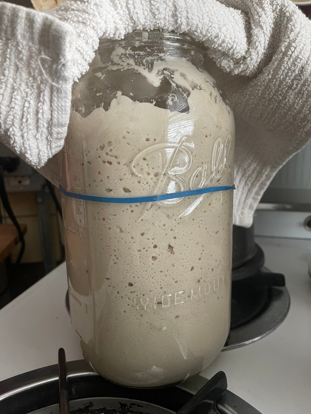 Sorghum Gluten-free Sourdough Starter Cultures (organic) - Etsy