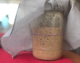 Teff Gluten-Free Sourdough Starter Cultures (Organic)