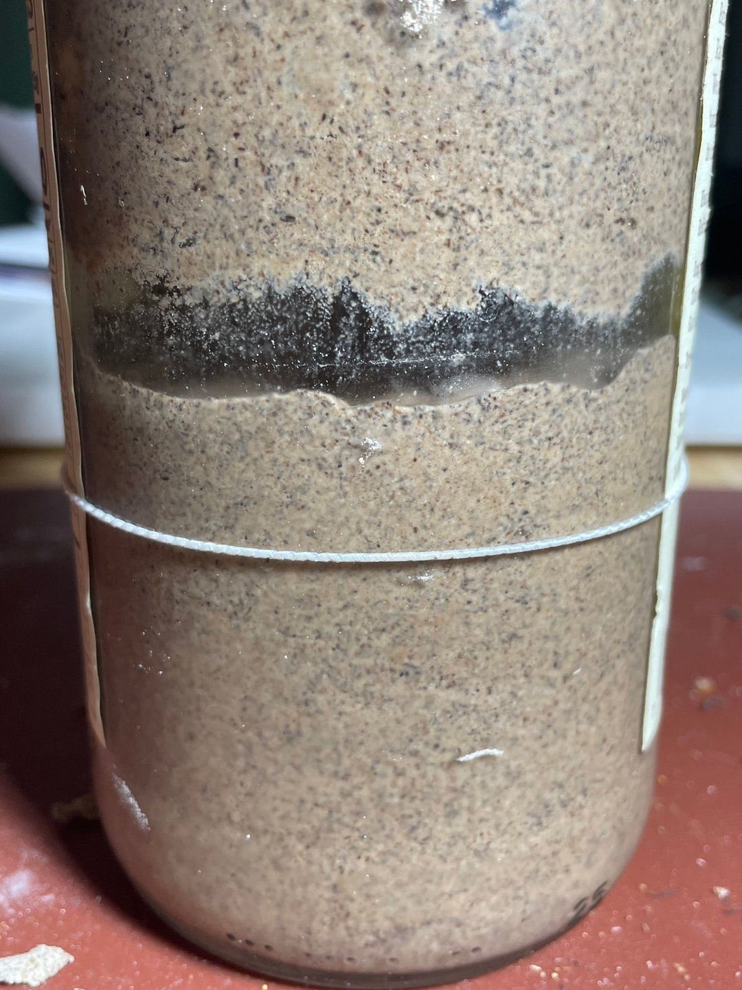 Buckwheat Glutenfree Sourdough Starter Cultures organic Etsy