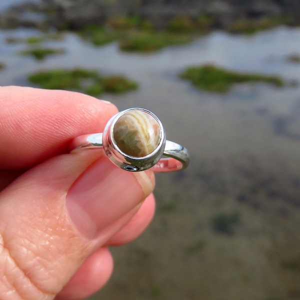 Ocean jasper ring, size 8 ring, gemstone ring, orbicular sea jasper, sterling silver ring size s, ocean ring, beach ring, jasper jewellery