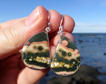 May include: A pair of silver earrings with green, pink, and white agate stone drops. The stones have a unique pattern of swirls and dots.