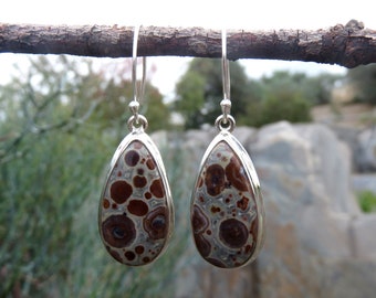 Asteroid jasper earrings, desert jewelry, gemstone jewellery, silver earrings, gemstone earrings for women, nature stone, southwestern