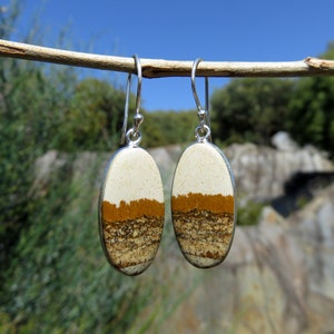 Rocky Butte picture jasper earrings, womens earrings, gemstone earrings, USA jewelry, gift for women, nature jewellery, everyday earrings