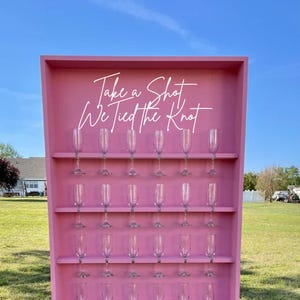 May include: Pink wooden frame with shelves holding champagne flutes. The frame has the text "Take a Shot, We Tied the Knot" in white lettering.