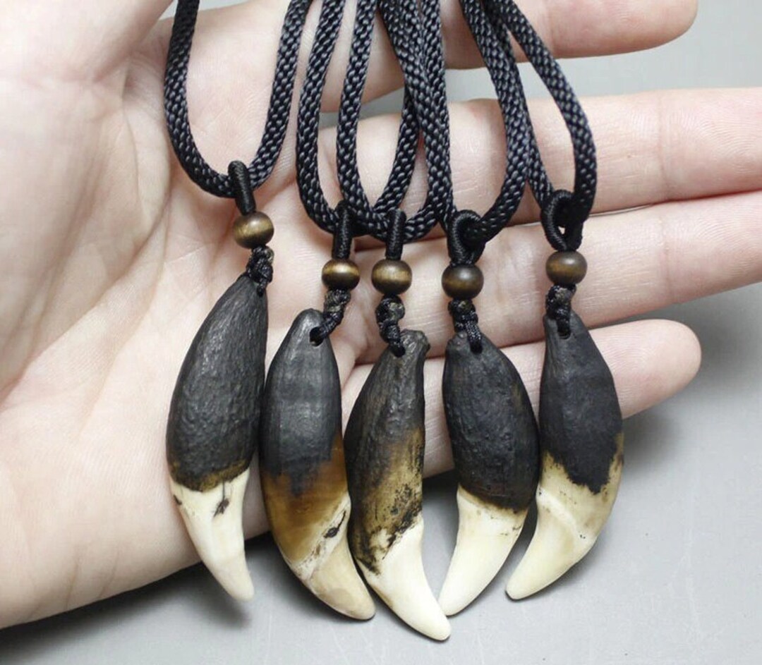 American Alligator Tooth Necklace Or Alligator Tooth Necklaces Or Alligator Jewelry Or Alligator