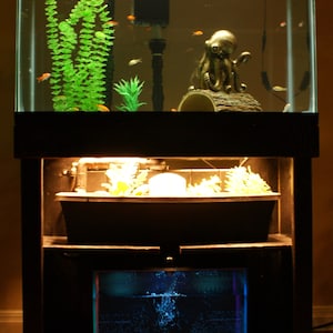 Op de afbeelding: Een rechthoekig aquarium met een zwart frame, met vissen en decoratieve planten. De tank heeft een decoratief octopusbeeld en wordt verlicht door interne verlichting. Het aquarium staat op een donkere houten standaard.