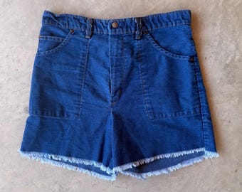 Vintage 1970s High Rise Denim Cutoff Shorts: Soft Lightweight Blue Jean Summer Waist 29