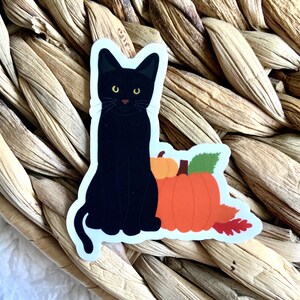 Halloween Stickers, Halloween Sticker, Cat Stickers, Halloween Vinyl Stickers, Pumpkin Sticker, Hydroflask Sticker, Waterproof Sticker