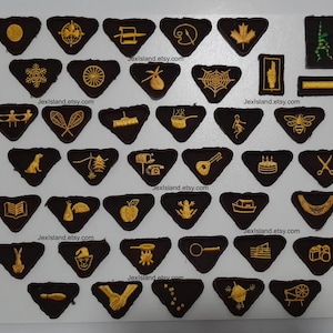 May include: A collection of 40 embroidered patches in various shapes and sizes. The patches feature a variety of designs, including animals, plants, objects, and symbols. The patches are all black with gold embroidery. The patches are arranged in rows on a white background.