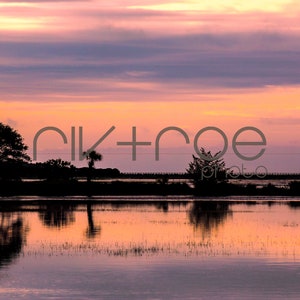 Copahee Sound - Sunrise - Charleston, South Carolina - Flock of Birds - Instant Download
