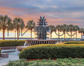 Fountain of Views - Pineapple Fountain - Sunrise - Charleston, South Carolina - Instant Download