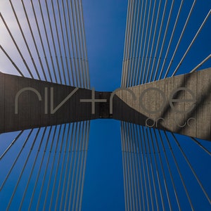 Ravenel Bridge - Charleston, Carolina del Sud - Download istantaneo - Photo Art