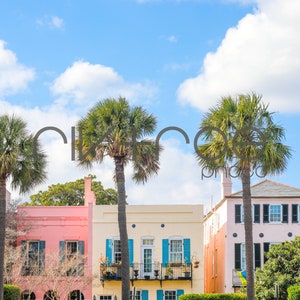 Rainbow Row - Palm Trees - Charleston, South Carolina - Instant Download