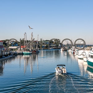 Samsung Bilderrahmen TV Kunst - Shem Creek - Charleston, South Carolina - Instant Download