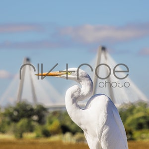 Charleston, Carolina del Sud - Stampa digitale - Shem Creek - Egret - Mount Pleasant - Download istantaneo - Epitome orizzontale