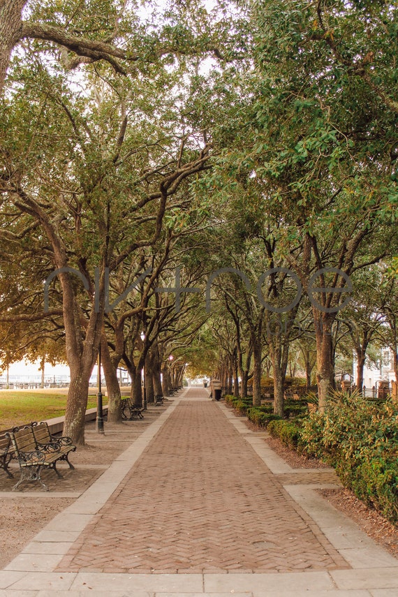 Joe Riley Waterfront Park South Carolina